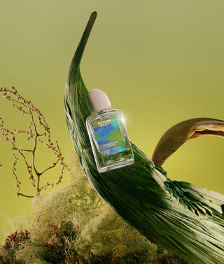 Grassland Opera eau de Parfum stylized image