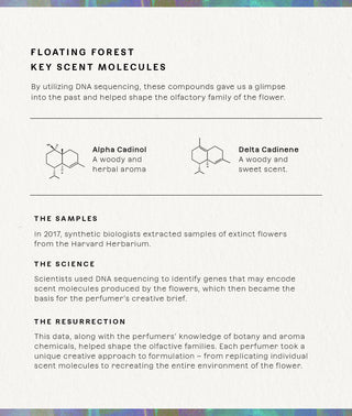 Floating Forest Eau de Parfum