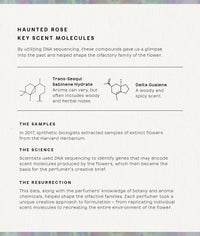 Haunted Rose