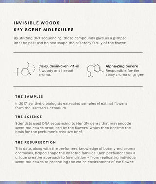 Invisible Woods Eau de Parfum