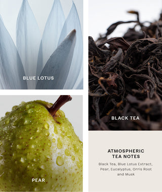 Image of Wandering Rain fragrance atmospheric tea notes including Blue Lotus, Black Tea, Pear, and text on a white background.