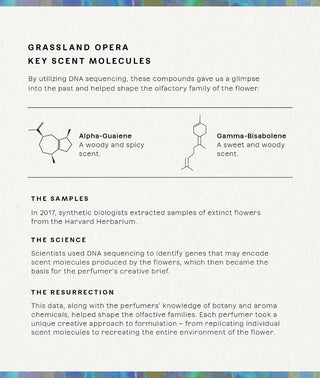 Grassland Opera Eau de Parfum
