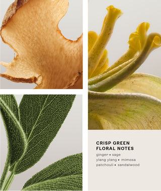 Grassland Opera Eau de Parfum