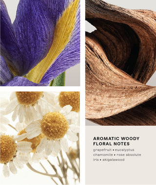 Invisible Woods Eau de Parfum