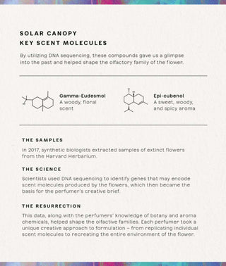 Solar Canopy Eau de Parfum